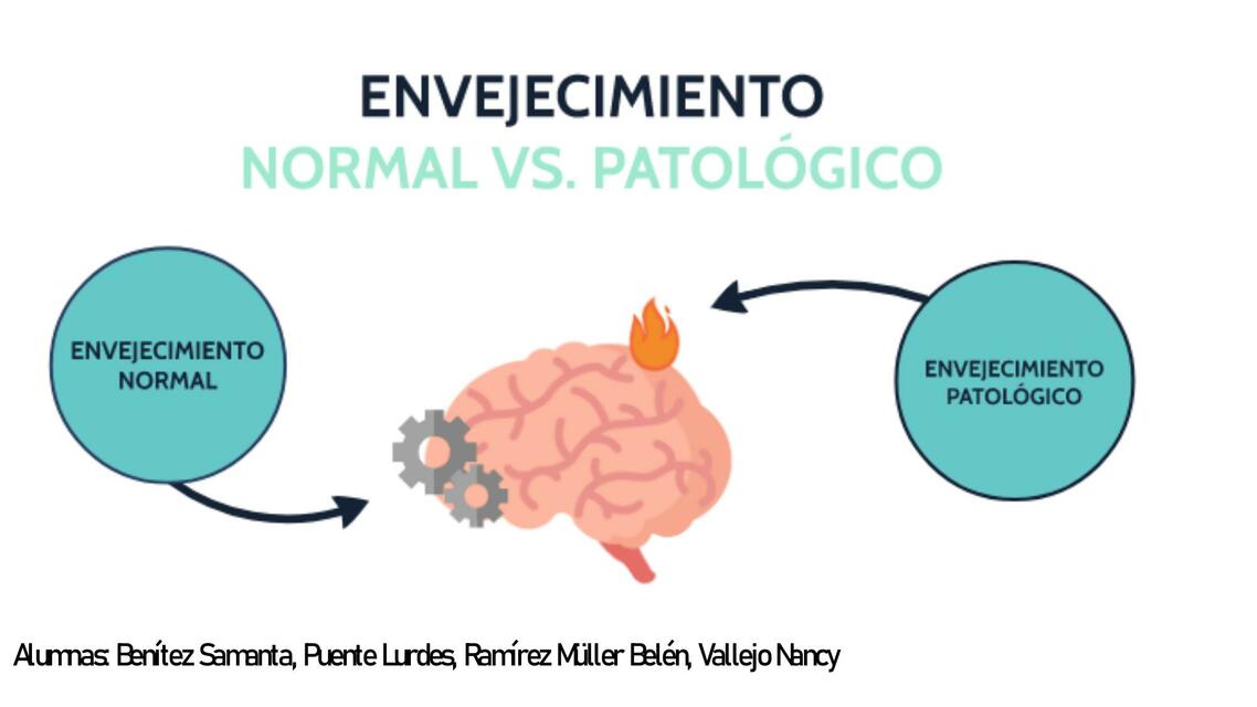 envejecimiento normal y patologico