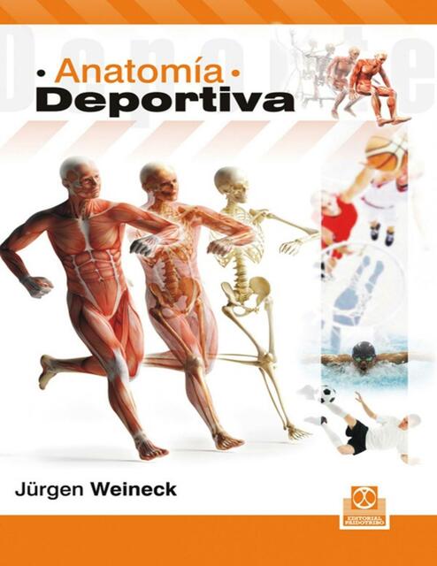 Anatomía deportiva 5 ed Jürgen Weineck