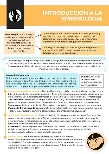 Introduccion a la Embriología- Gametogenesis