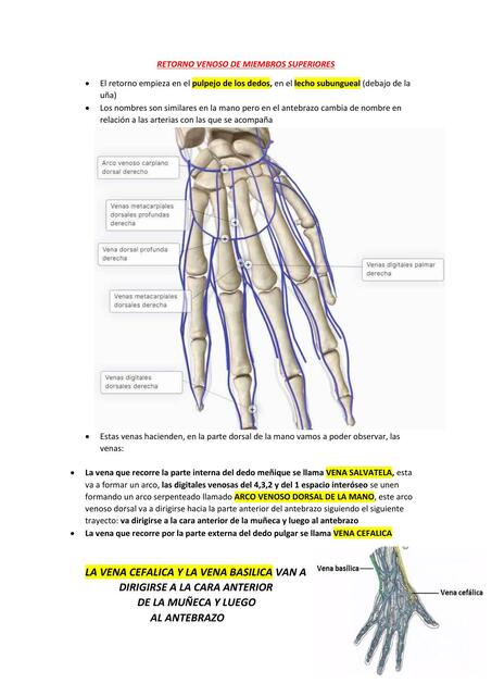 RETORNO VENOSO DE MIEMBROS SUPERIORES