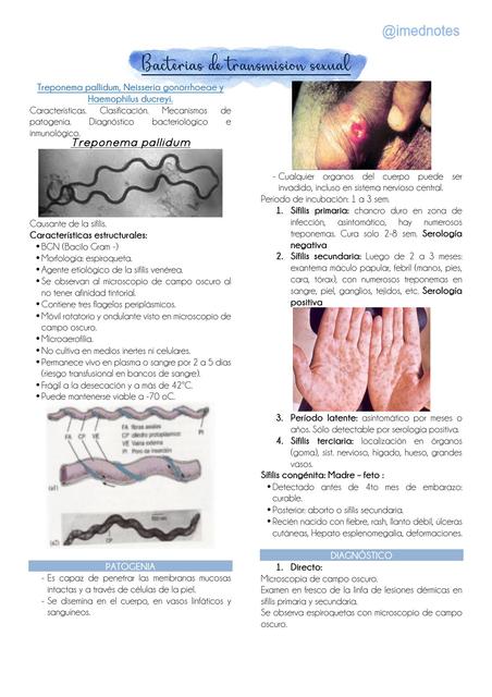 BACTERIAS DE TRANSMISIÓN SEXUAL 