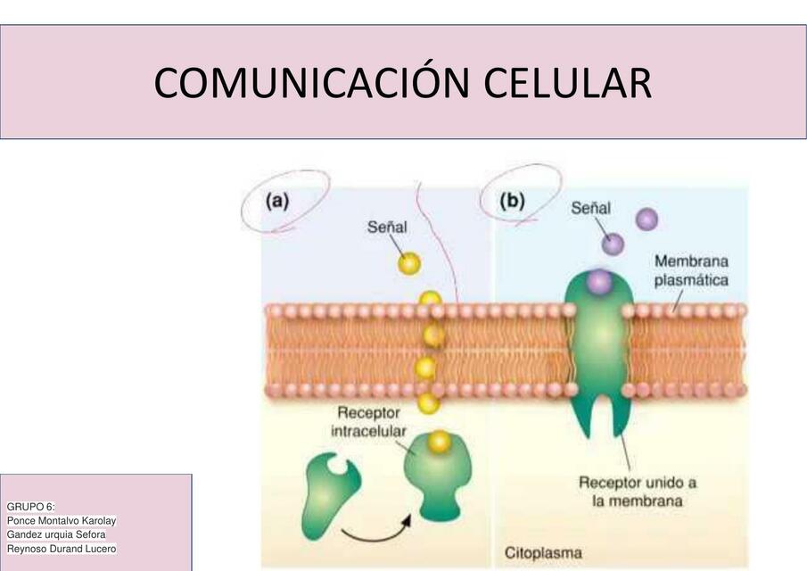 Practica 15 PB2