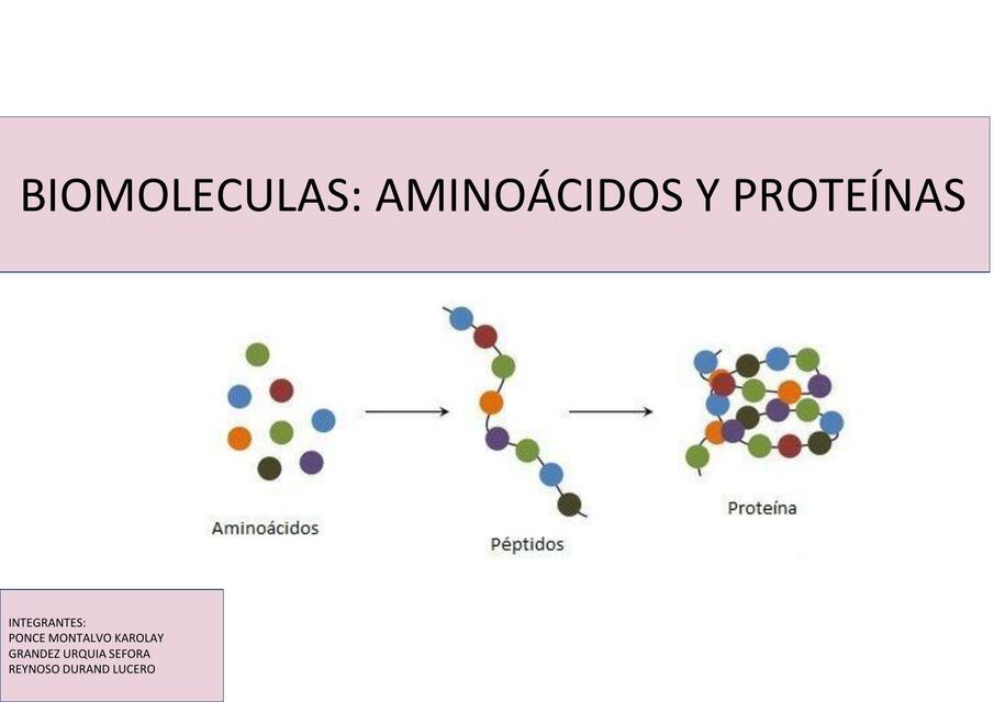 S13 Guia de Practica 13 PBII 1