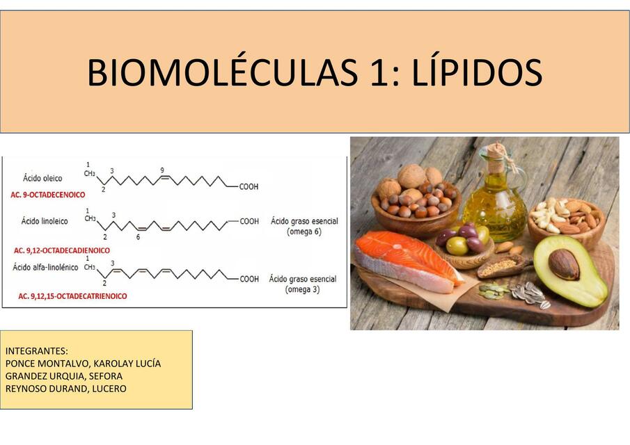 S11 Guia de Practica 11 PBII 1