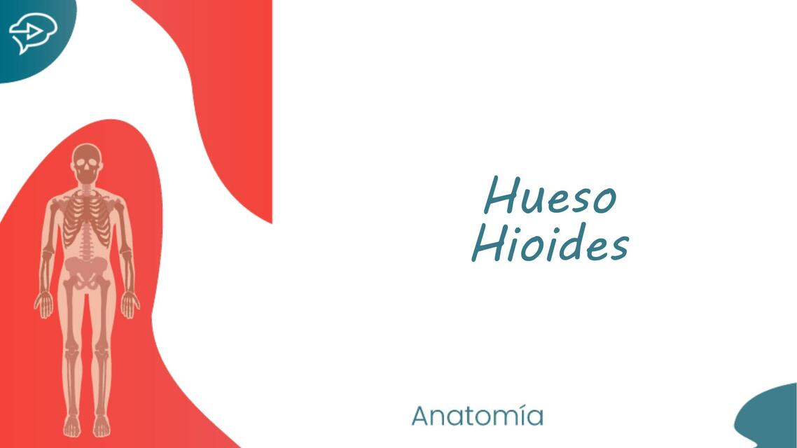 Anatomía | uDocz