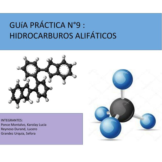 GUÍA DE PRÁCTICA SEMANA 9