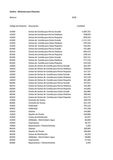 3 2 Sanitos Balance xlsx