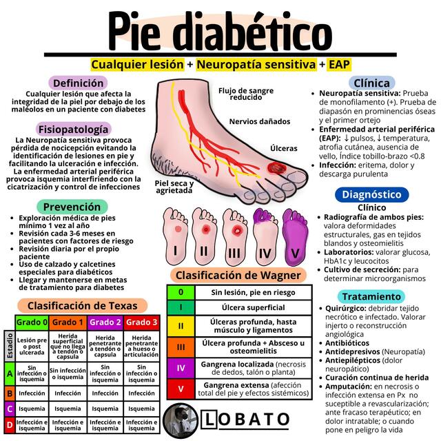 Pie diabético 🩺 Fisiopatología, Clasificación, Diagnóstico