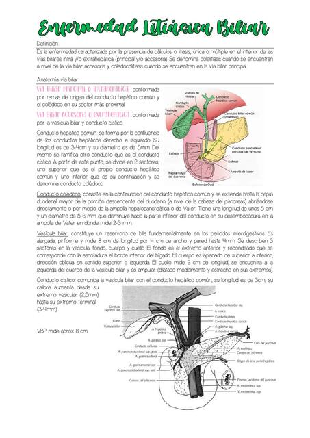 Enfermedad Litiásica Biliar