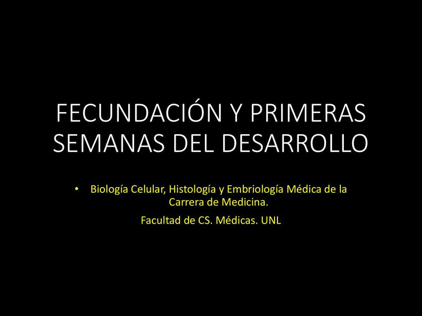 Fecundación y primeras semanas del desarrollo