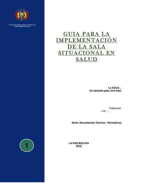 3 1 Guía para la implementación de la sala situaci