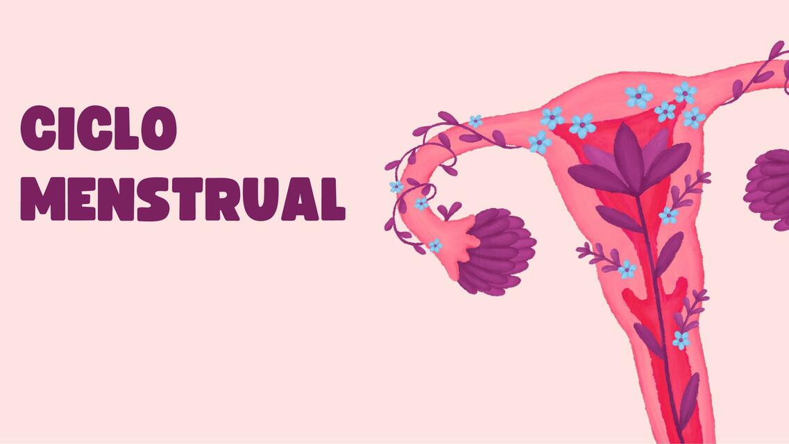 ciclo menstrual