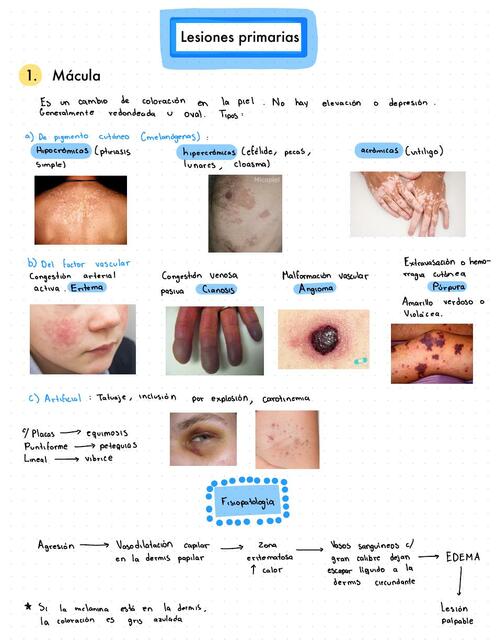 Lesiones primarias y secundarias