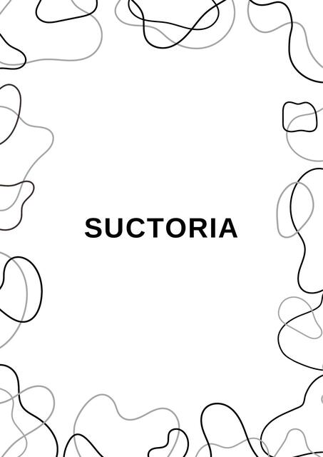 Flashcards De SUCTORIA Por Luisana Aneth CR UDocz
