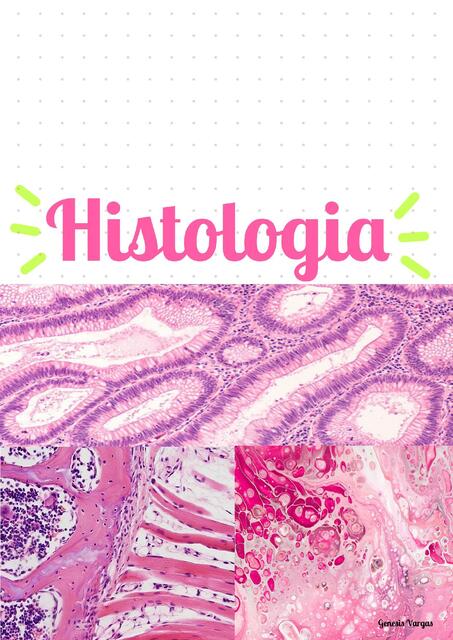 HISTOLOGIA 1