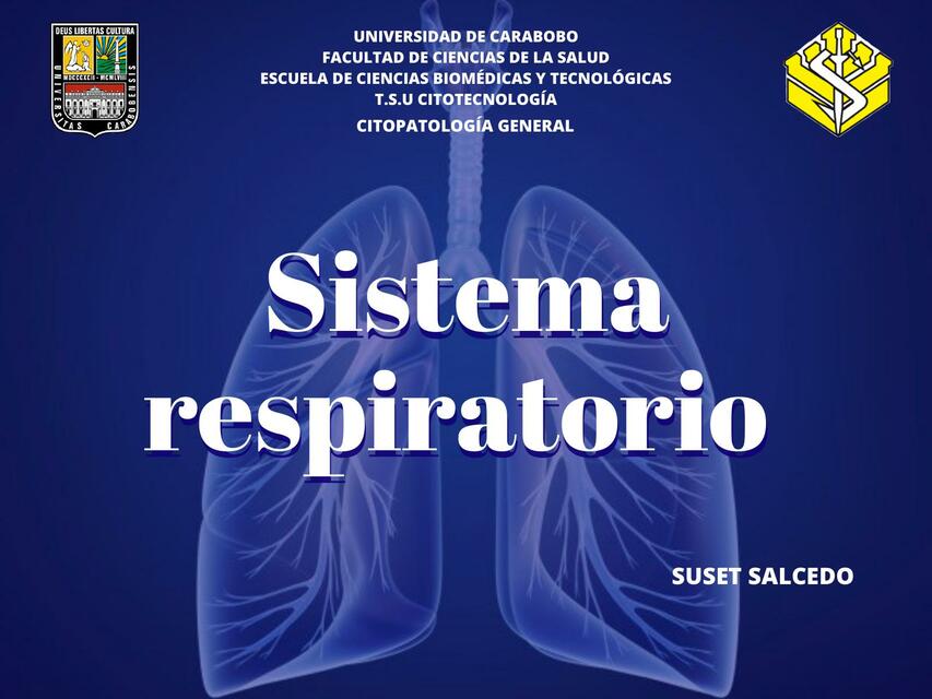 Sistema Respiratorio