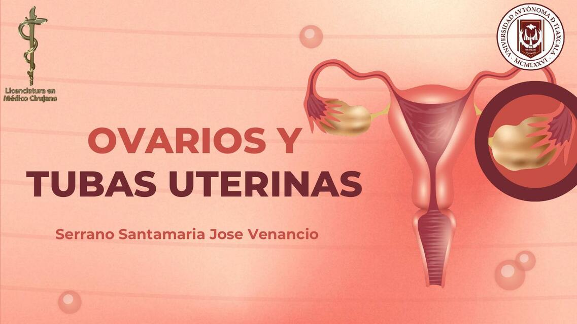 Ovarios y tubas uterinas