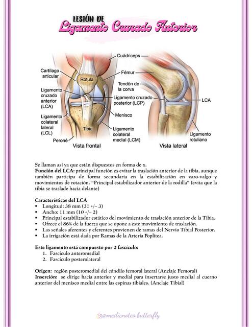 LESIÓN DE LIGAMENTO CRUZADO ANTERIOR