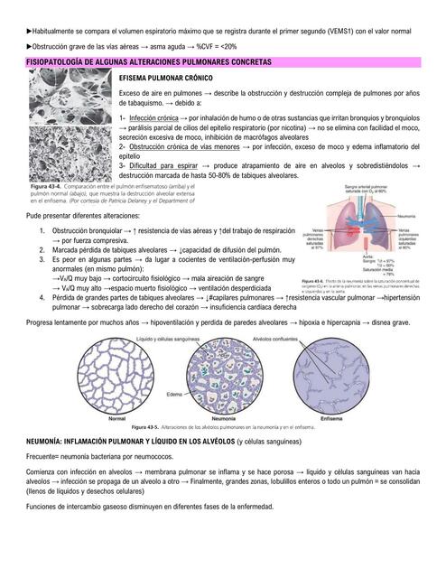 Fisiopatología de las enfermedades respiratorias