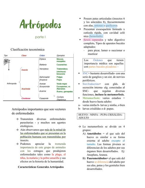 ÁRTROPODOS COMPLETO