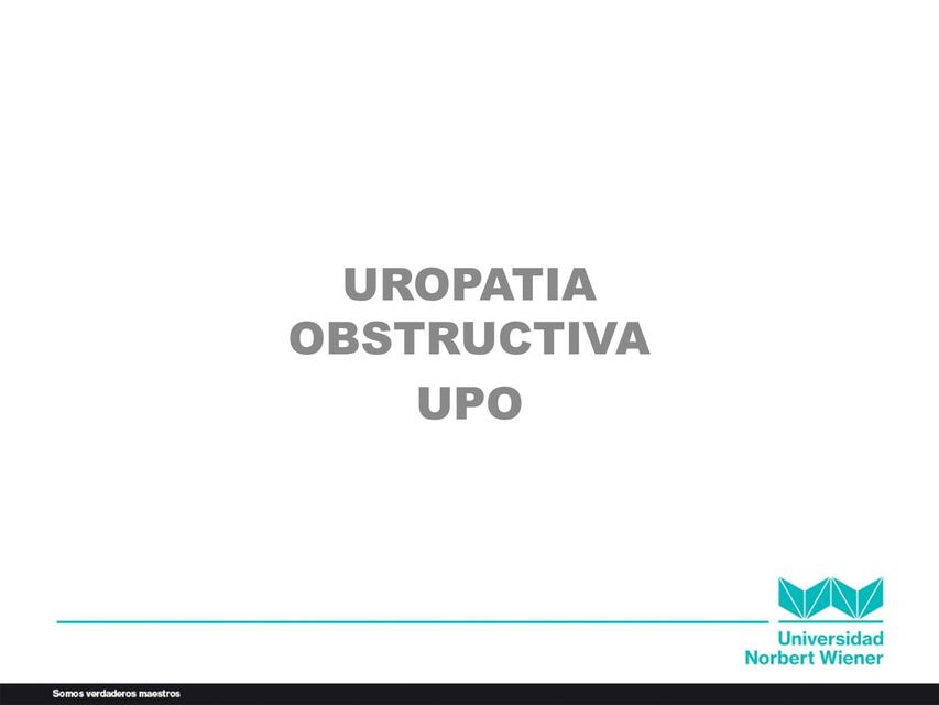 Uropatía Obstructiva 