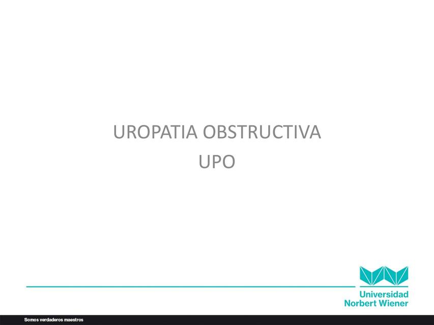 Uropatía Obstructiva 