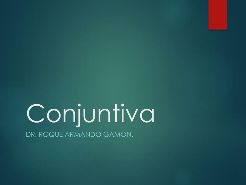 CONJUNTIVA