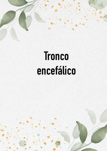 Tronco Encefálico