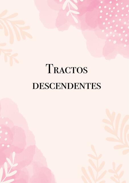 Tractos Descendentes