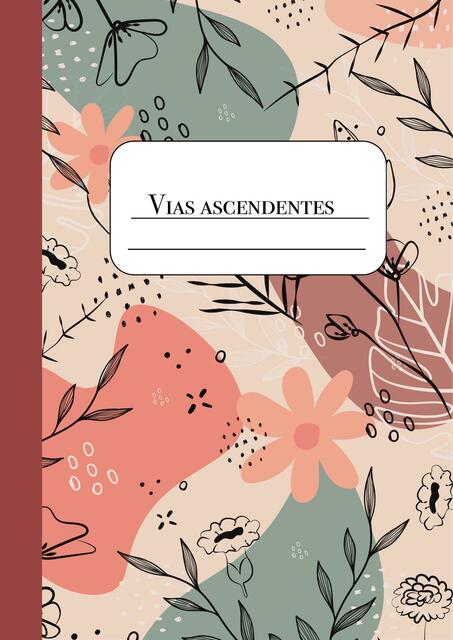 Vias ascendentes