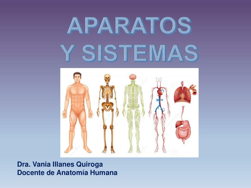 Aparatos y sistemas