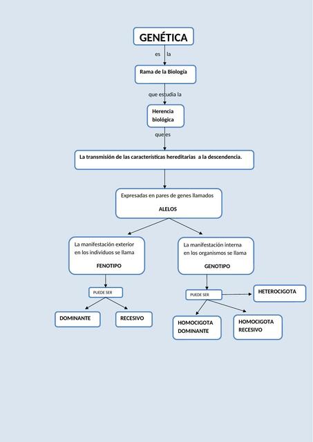 Mapa conceptual de la Genetica