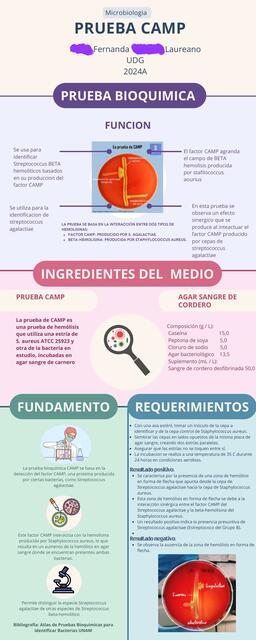 Infografia Prueba CAMP