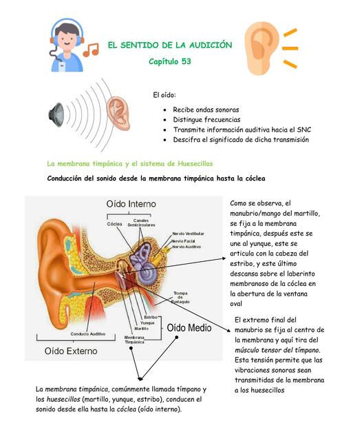 Cap 53 fisio El sentido de la audición