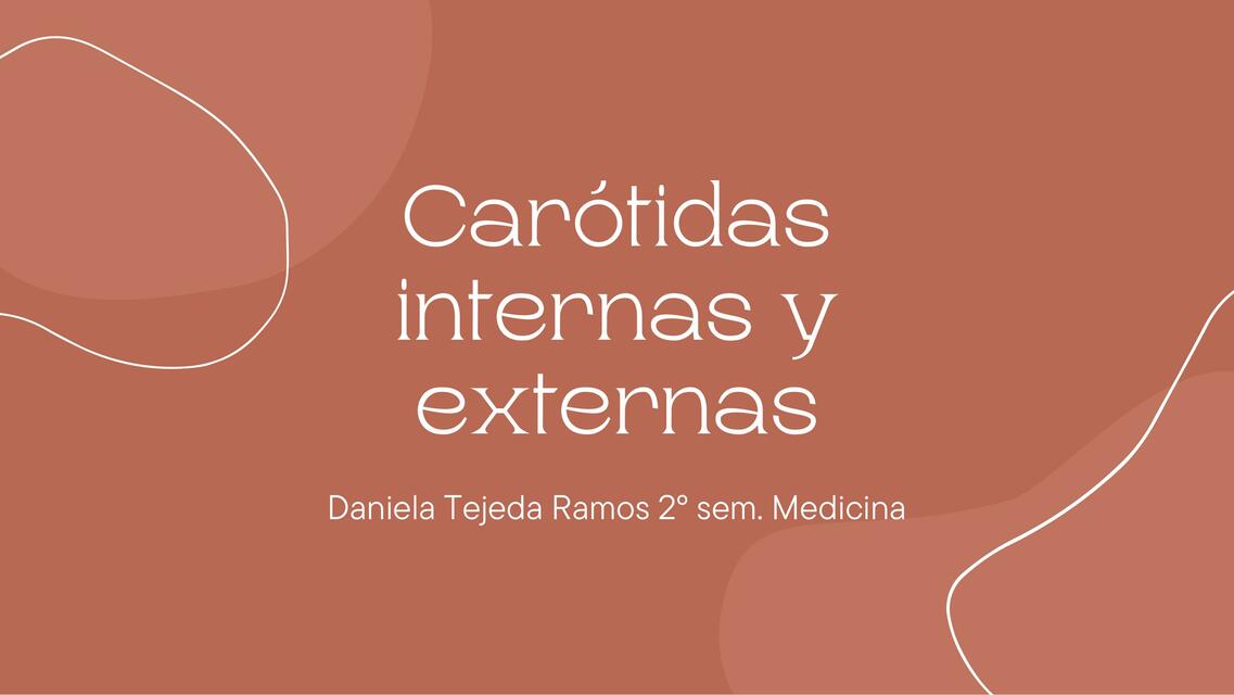 Carótidas internas y externas