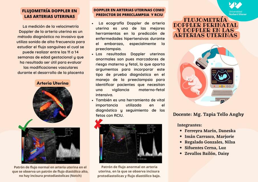 TRIPTICO FLUJOMETRÍA DOPPLER