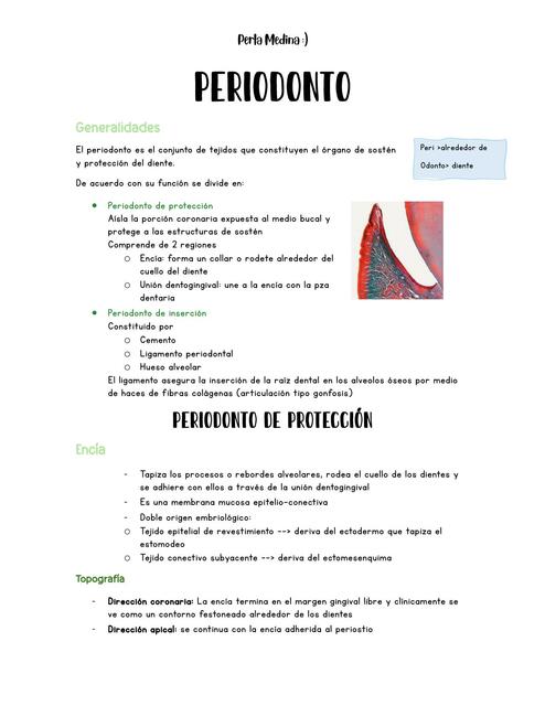 Periodonto