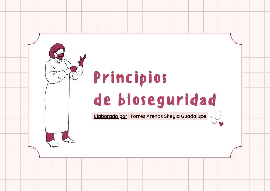 Principios de bioseguridad