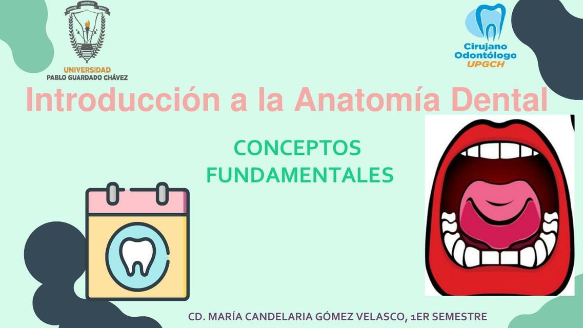 introduccion a la Anatomia Dental 2 3