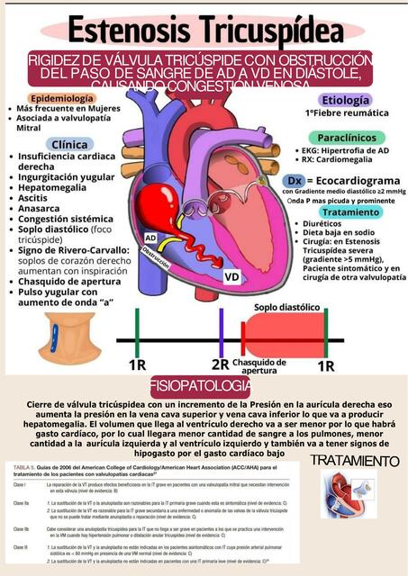 Estenosis tricuspidea 24