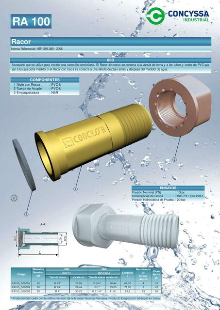 RA 100 RACOR CONCYSSA INDUSTRIAL web 1