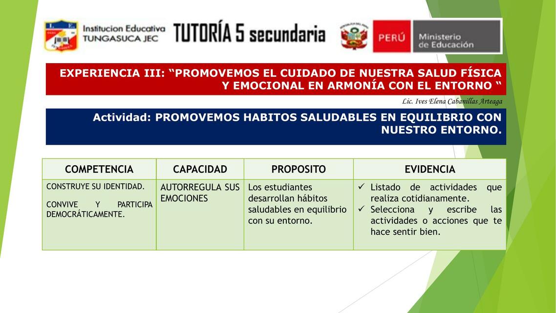 SEMANA 13 TUTORIA