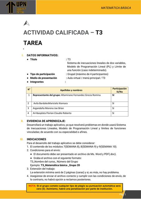 T3 MATEMATICA BASICA GRUPO 2