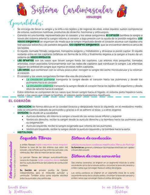 Sistemas Cardiovascular Histología