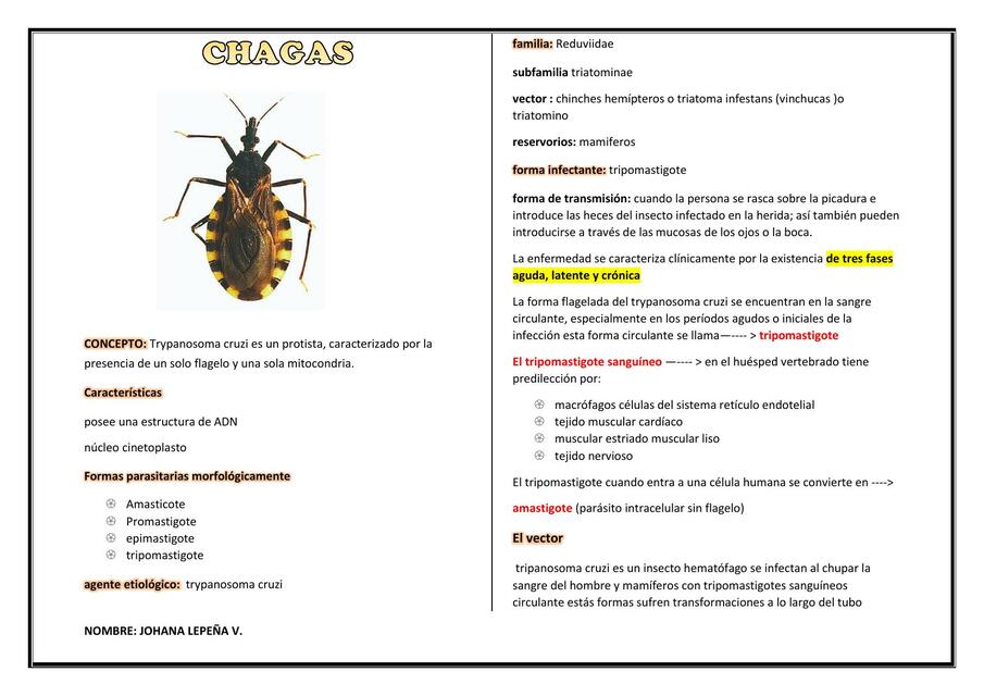 CHAGAS