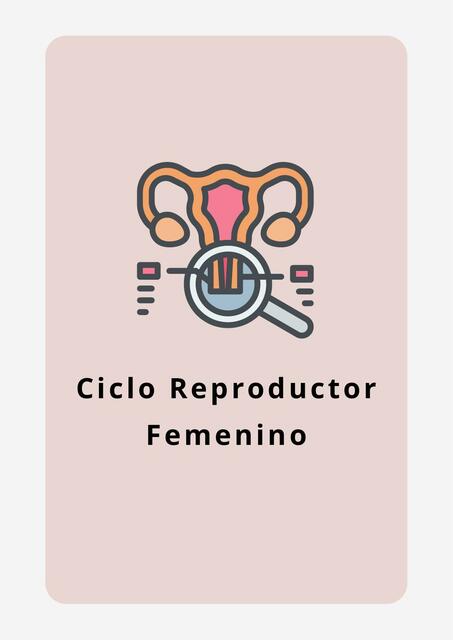 Ciclo Reproductor Femenino