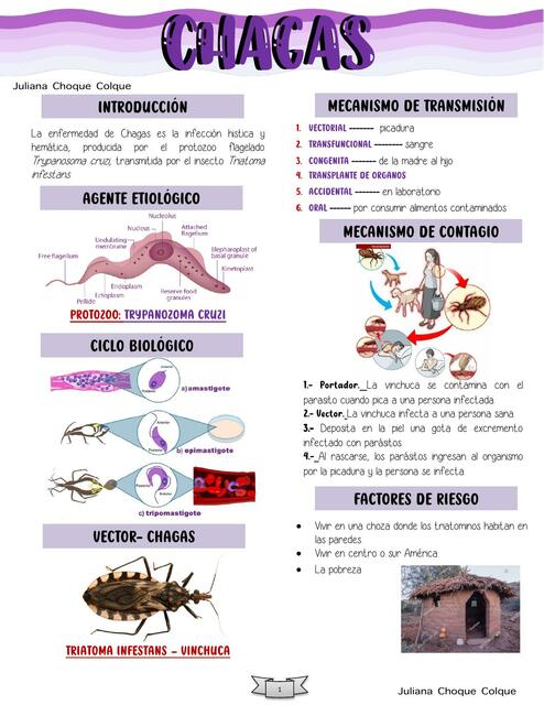 Chagas