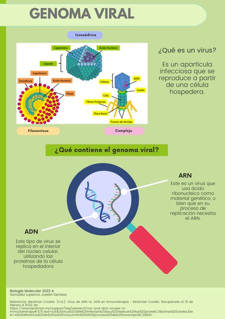 Genoma viral