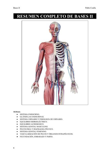 RESUMEN DE BASES II
