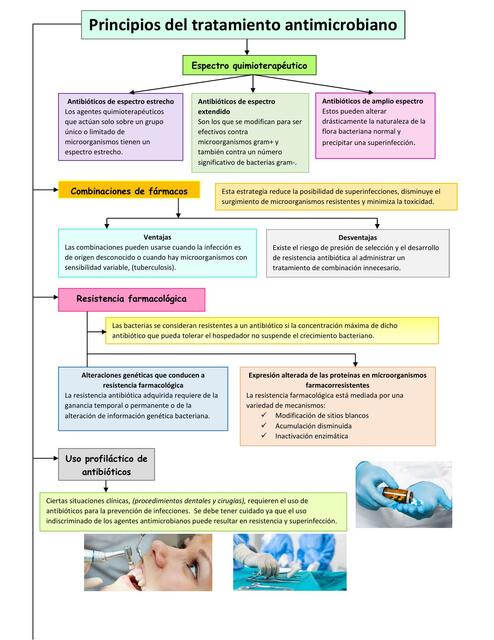 Farmacología 6